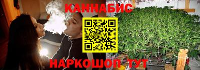 МДПВ Дмитров